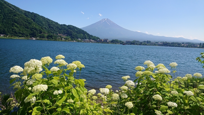 鉄道乗車記録の写真:旅の思い出(3)        「河口湖と富士山」