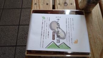 会津田島駅から小山駅の乗車記録(乗りつぶし)写真
