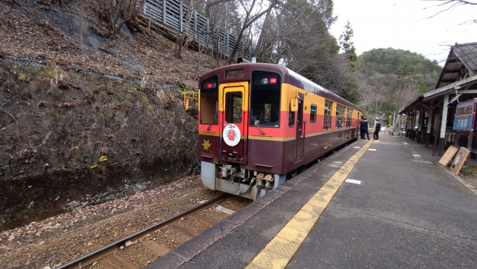 鉄道乗車記録の写真:列車・車両の様子(未乗車)(1)     「トロッコ列車わっしーと遭遇。」