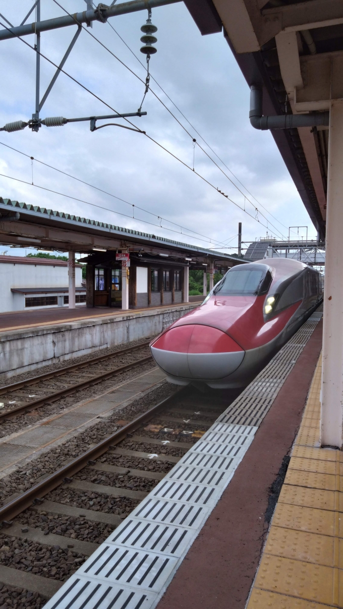 鉄道乗車記録の写真:乗車した列車(外観)(3)        「秋田新幹線 こまち34号 東京行き」