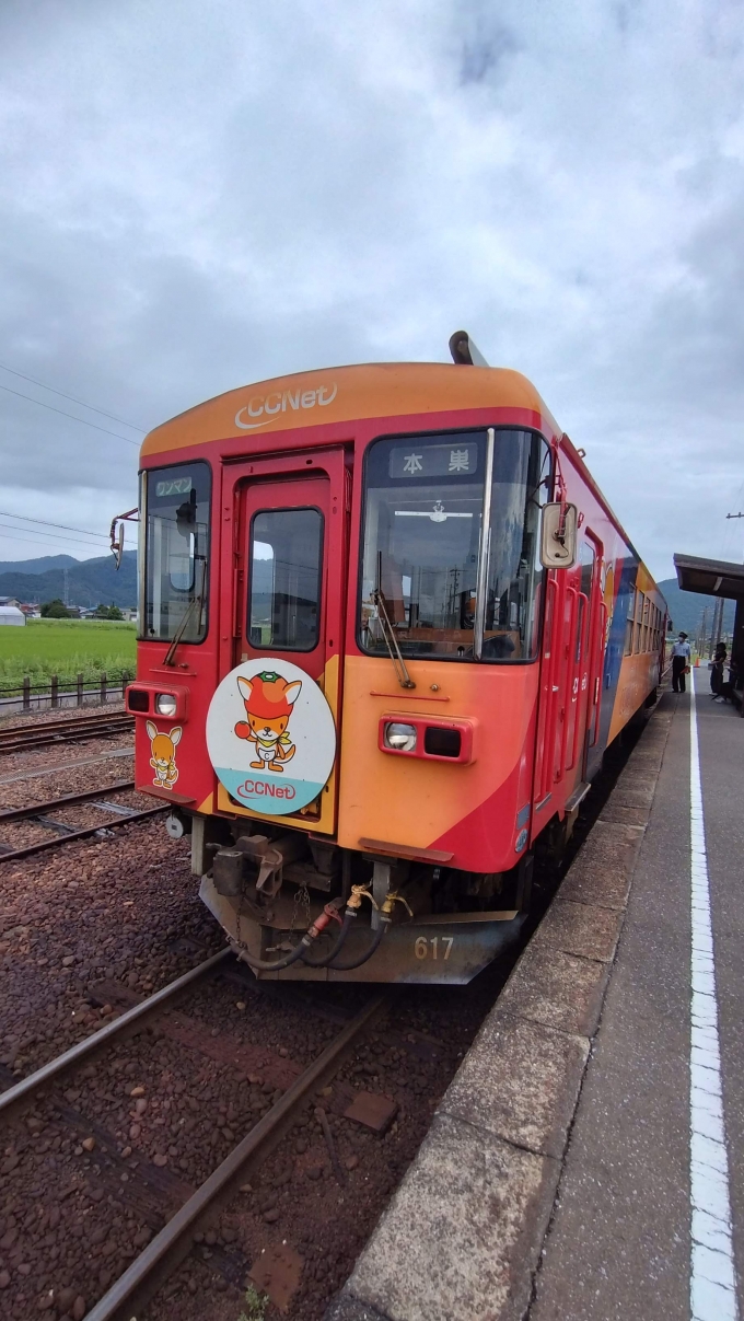 鉄道乗車記録の写真:乗車した列車(外観)(2)        「樽見鉄道 普通 大垣行き」
