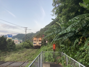 山川駅から枕崎駅の乗車記録(乗りつぶし)写真