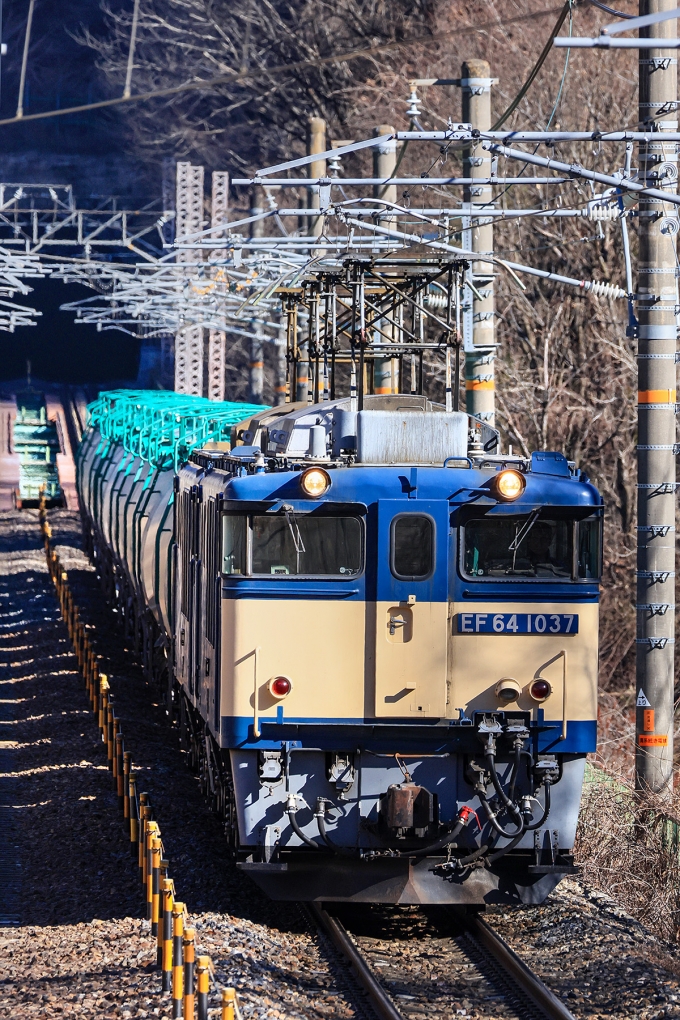 鉄道乗車記録の写真:列車・車両の様子(未乗車)(2)        「ずっと走ってほしー」