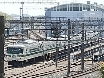 JR東日本 185系 鉄道フォト・写真 by 鉄道沿線の人さん ：2023年04月01日10時ごろ