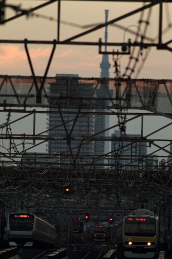 JR東日本E231系電車 鉄道フォト・写真 by maruさん 高円寺駅：2012年12月16日06時ごろ