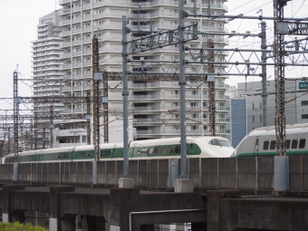 JR東日本 E224形(T2c) やまびこ(新幹線) E224-1116 鉄道フォト・写真 by TN-sannさん 大宮駅 (埼玉県|JR)：2023年11月12日17時ごろ