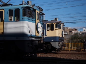JR貨物 国鉄EF65形電気機関車 鉄道フォト・写真 by TN-sannさん 大宮駅 (埼玉県|JR)：2023年11月25日13時ごろ