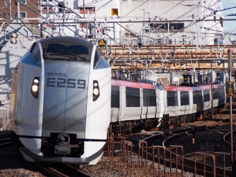 JR東日本E259系電車 鉄道フォト・写真 by TN-sannさん 船橋駅 (JR)：2023年12月17日14時ごろ