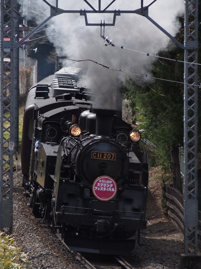 東武鉄道 国鉄C11形蒸気機関車 C11 207 鉄道フォト・写真 by TN-sannさん ：2024年04月07日10時ごろ