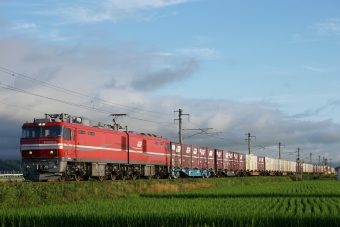 JR貨物 EH800形 EH800-9 鉄道フォト・写真 by とっきーさん 油川駅：2015年08月08日05時ごろ