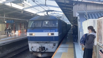 JR貨物 EF210形 EF210-116 鉄道フォト・写真 by おーつかさん 石川町駅：2023年12月10日13時ごろ