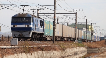 JR貨物EF210形電気機関車 鉄道フォト・写真 by im1527さん 中庄駅：2022年01月15日09時ごろ
