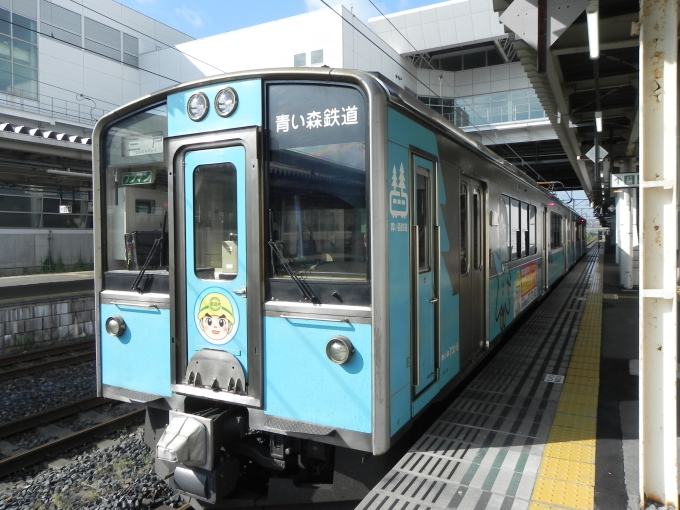 「青い森」4枚全セット 青い森」4枚全セット 青い森」4枚全セット 青い森 IV-蔦