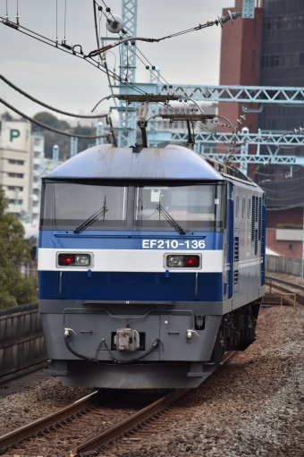 JR貨物EF210形電気機関車 EF210-136 鉄道フォト・写真 by 湘南特快さん 関内駅 (JR)：2024年02月01日14時ごろ
