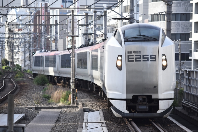 JR東日本 クハE258-7 (E259系) 車両ガイド | レイルラボ(RailLab)