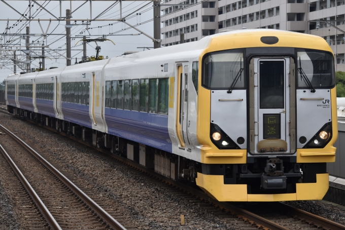 鉄道フォト・写真：JR東日本E257系電車 クハE256-503 新浦安駅 鉄道フォト・写真 by 湘南特快さん - 撮影日 2024/07/15 08:29