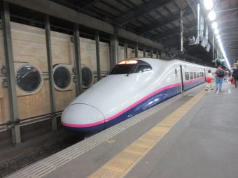 JR東日本 E224形(T2c) とき 鉄道フォト・写真 by 通勤特急さん 新潟駅：2022年05月02日21時ごろ