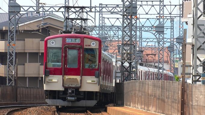 鉄道フォト・写真：近畿日本鉄道 近鉄1233系電車 1236 桃山御陵前駅 鉄道フォト・写真 by あずきさん - 撮影日 2024/06/22 09:53