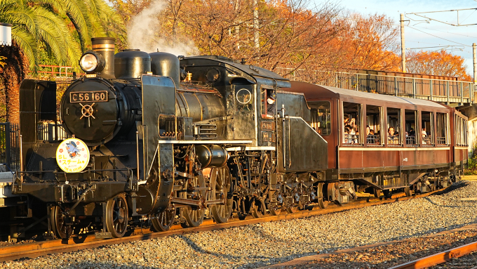 JR西日本 C56 160 (C56形) 車両ガイド | レイルラボ(RailLab)