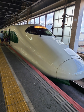 JR東日本 E2系新幹線電車 鉄道フォト・写真 by あっとさん 大宮駅 (埼玉県|JR)：2022年06月26日16時ごろ