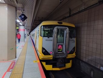 JR東日本 鉄道フォト・写真 by あっとさん 東京駅 (JR)：2024年02月07日12時ごろ