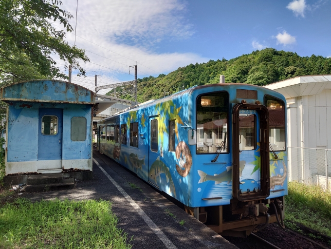 鉄道フォト・写真：錦川鉄道  清流新岩国駅 鉄道フォト・写真 by あっとさん - 撮影日 2024/07/06 08:45