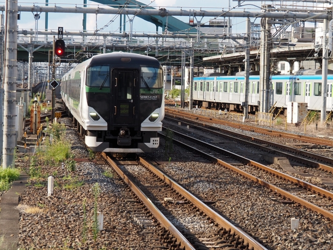 JR東日本E257系電車 草津・四万 クハE256-5510 大宮駅 (埼玉県