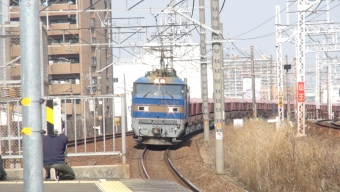 JR貨物EF210形電気機関車 鉄道フォト・写真 by ryutamaruさん 熱田駅：2024年03月16日11時ごろ