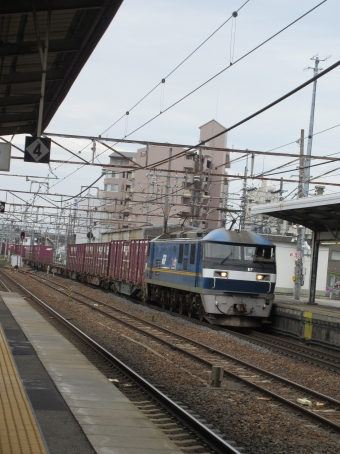 JR貨物EF210形電気機関車 鉄道フォト・写真 by ryutamaruさん 彦根駅 (JR)：2024年05月06日13時ごろ