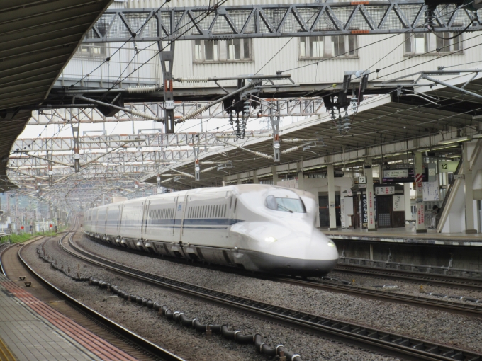 JR東海 N700系新幹線電車 鉄道フォト・写真 by ryutamaruさん 米原駅 (JR)：2024年05月06日14時ごろ