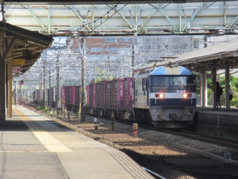 JR貨物EF210形電気機関車 桃太郎 鉄道フォト・写真 by ryutamaruさん 熱田駅：2024年05月11日14時ごろ