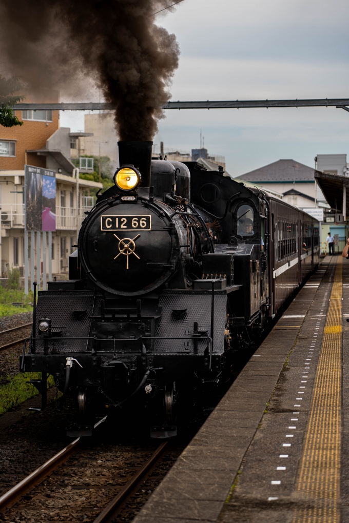 鉄道フォト・写真：真岡鐵道 国鉄C12形蒸気機関車 C12 66 下館駅 (真岡鐵道) 鉄道フォト・写真 by 膜依酱さん - 撮影日 2024/06/22 10:32