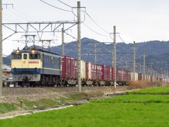 JR貨物 国鉄EF65形電気機関車 EF65-2090 鉄道フォト・写真 by massakarikariさん 近江八幡駅 (JR)：2024年02月11日12時ごろ