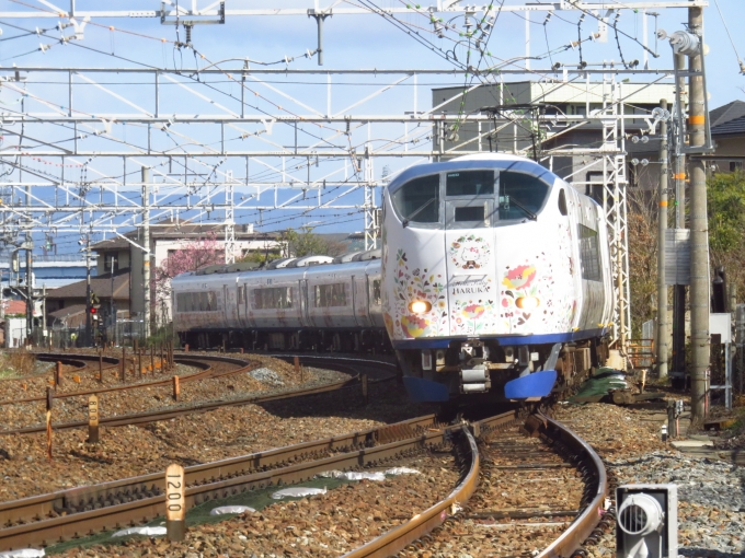 JR西日本 鉄道フォト・写真 by massakarikariさん 山崎駅 (京都府)：2024年02月12日11時ごろ
