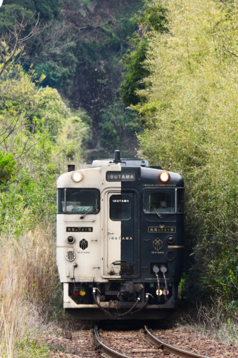 (未使用･未開封品)キハ47形 JR指宿枕崎線　枕崎〜鹿児島中央　 [DVD] Amazon.co.jp: キハ47形 JR指宿枕崎線 枕崎～鹿児島中央【Blu