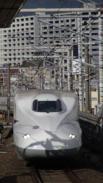JR東海 N700系新幹線 鉄道フォト・写真 by そのへんの鉄オタさん 名古屋駅 (JR)：2024年01月07日13時ごろ