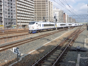 JR西日本 鉄道フォト・写真 by 阪急沿線の民さん 新大阪駅 (JR)：2024/02/11 11:09