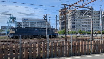 JR貨物 国鉄EF65形電気機関車 2090 鉄道フォト・写真 by 阪急沿線の民さん 岸辺駅：2024年05月25日14時ごろ