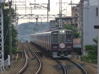 阪急電鉄 阪急8000系電車 鉄道フォト・写真 by 阪急沿線の民さん 石橋阪大前駅：2024年07月13日18時ごろ