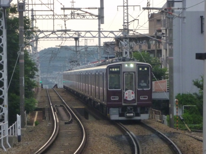 鉄道フォト・写真：阪急電鉄 阪急8000系電車 石橋阪大前駅 鉄道フォト・写真 by 阪急沿線の民さん - 撮影日 2024/07/13 18:00