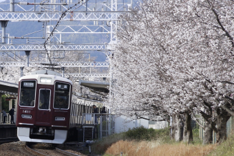 阪急1300系 1311F編成 (正雀車庫) 徹底ガイド | レイルラボ(RailLab)