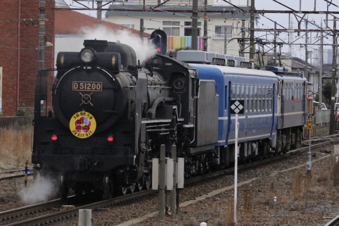 JR西日本 D51 200 (D51形) 車両ガイド | レイルラボ(RailLab)