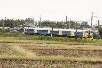 JR東日本E257系電車 鉄道フォト・写真 by KIDさん 南古谷駅：2019年10月19日10時ごろ