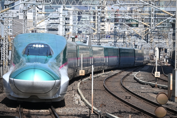 JR東日本 E523形(T1c) E523-49 鉄道フォト・写真 by 無二似さん 東京駅 (JR)：2024年03月15日11時ごろ