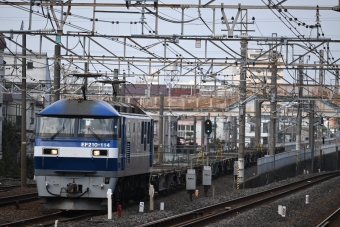 JR貨物 EF210形 EF210-114 鉄道フォト・写真 by 無二似さん 馬橋駅 (JR)：2024年03月17日14時ごろ