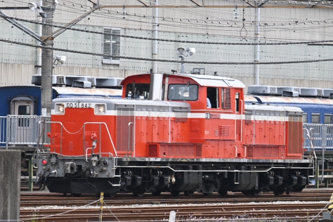 JR東日本 国鉄DD51形ディーゼル機関車 DD51-842 鉄道フォト・写真 by 無二似さん 高崎駅 (JR)：2024年04月20日12時ごろ