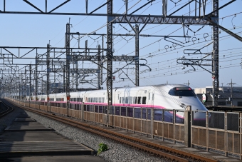 JR東日本 E224形(T2c) E224-1124 鉄道フォト・写真 by 無二似さん 与野本町駅：2024年05月04日06時ごろ