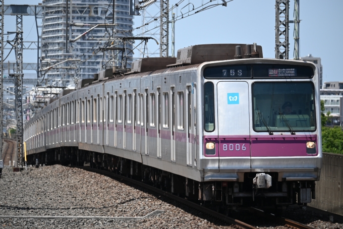 鉄道フォト・写真：東京メトロ 営団8000系電車 8006 新越谷駅 鉄道フォト・写真 by 無二似さん - 撮影日 2024/06/15 12:52