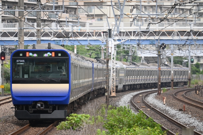 鉄道フォト・写真：JR東日本E235系電車 クハE234-1114 保土ケ谷駅 鉄道フォト・写真 by 無二似さん - 撮影日 2024/06/29 08:17