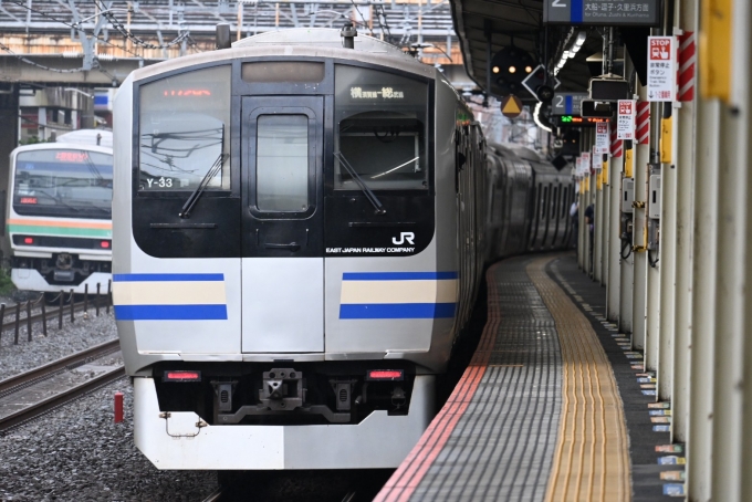 鉄道フォト・写真：JR東日本E217系電車 クハE217-33 保土ケ谷駅 鉄道フォト・写真 by 無二似さん - 撮影日 2024/06/29 08:40